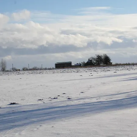 An Den Boddenwiesen Iii Wustrow (Fischland)